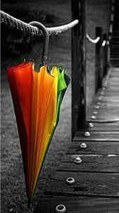 paraguas color